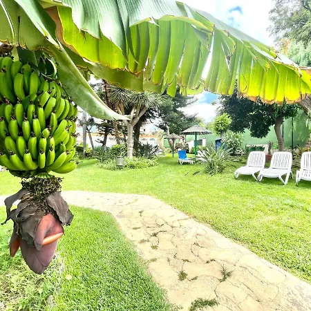 아파트 Estudio Con Vista A Estupenda Piscina, Cerca De La Playa En Puerto De La Cruz