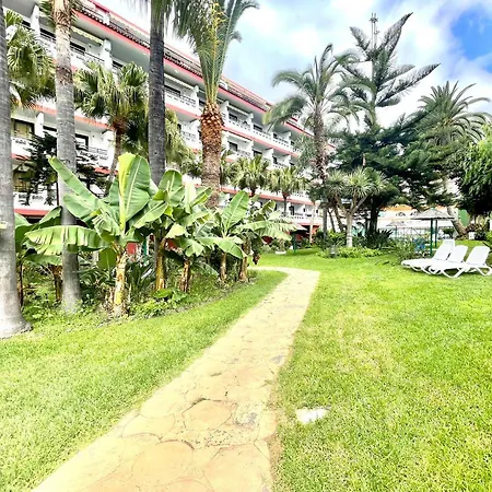 Estudio Con Vista A Estupenda Piscina, Cerca De La Playa En Puerto De La Cruz 아파트