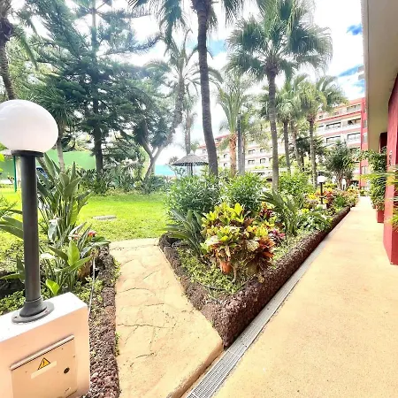 Estudio Con Vista A Estupenda Piscina, Cerca De La Playa En Puerto De La Cruz 아파트