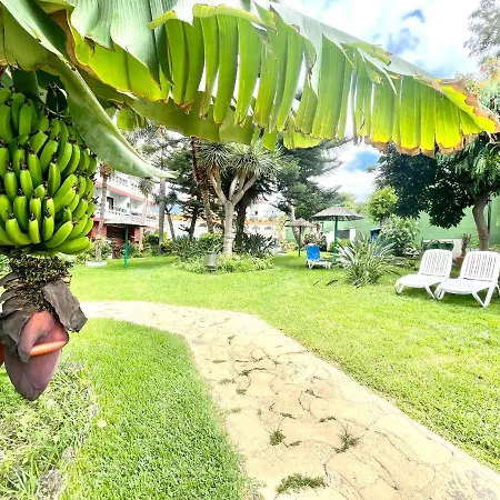 Appartement Estudio Con Vista A Estupenda Piscina, Cerca De La Playa En Puerto De La Cruz